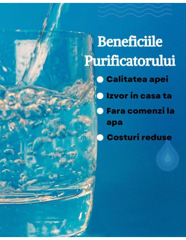 Instalare Purificator